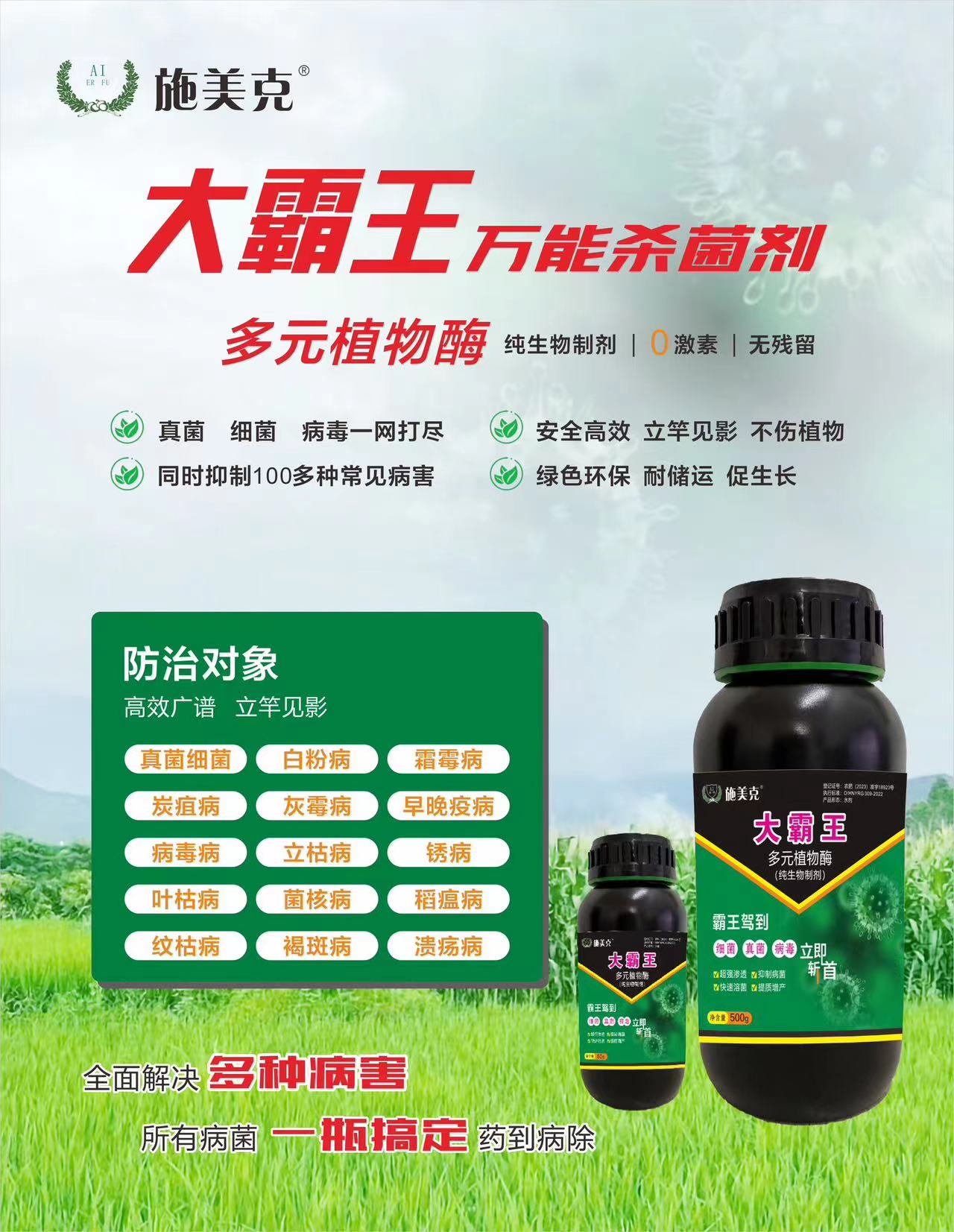 施美克大霸王
