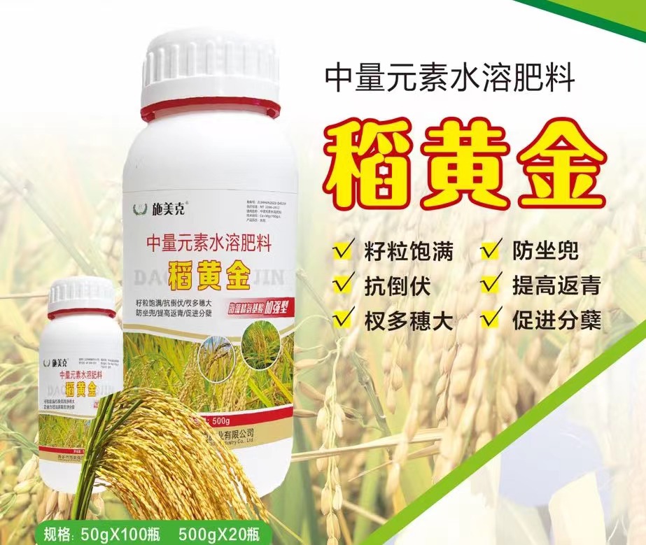施美克稻黄金